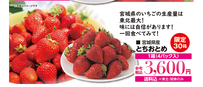 宮城県産「とちおとめ」 宮城県のいちごの生産量は東北最大！味には人があります！一回食べてみて！ 1箱(4パック入） 限定30箱